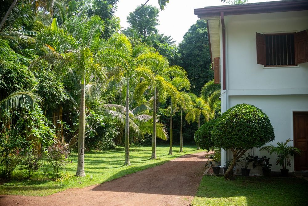 Green Edge Villa фото 48