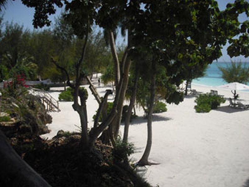 Kendwa Breezes Beach Resort фото 7