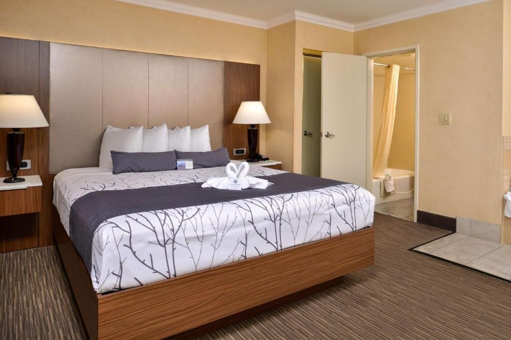 Best Western Hollywood Plaza Inn - Hollywood Walk of Fame Hotel - LA фото 46