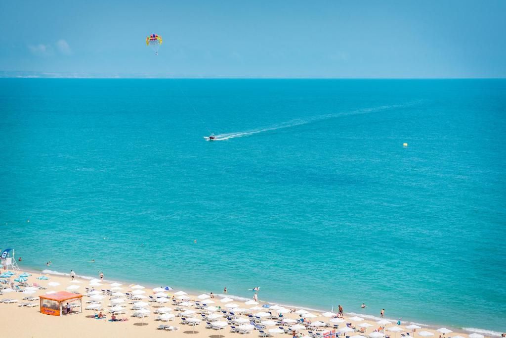 Palm Beach фото 10