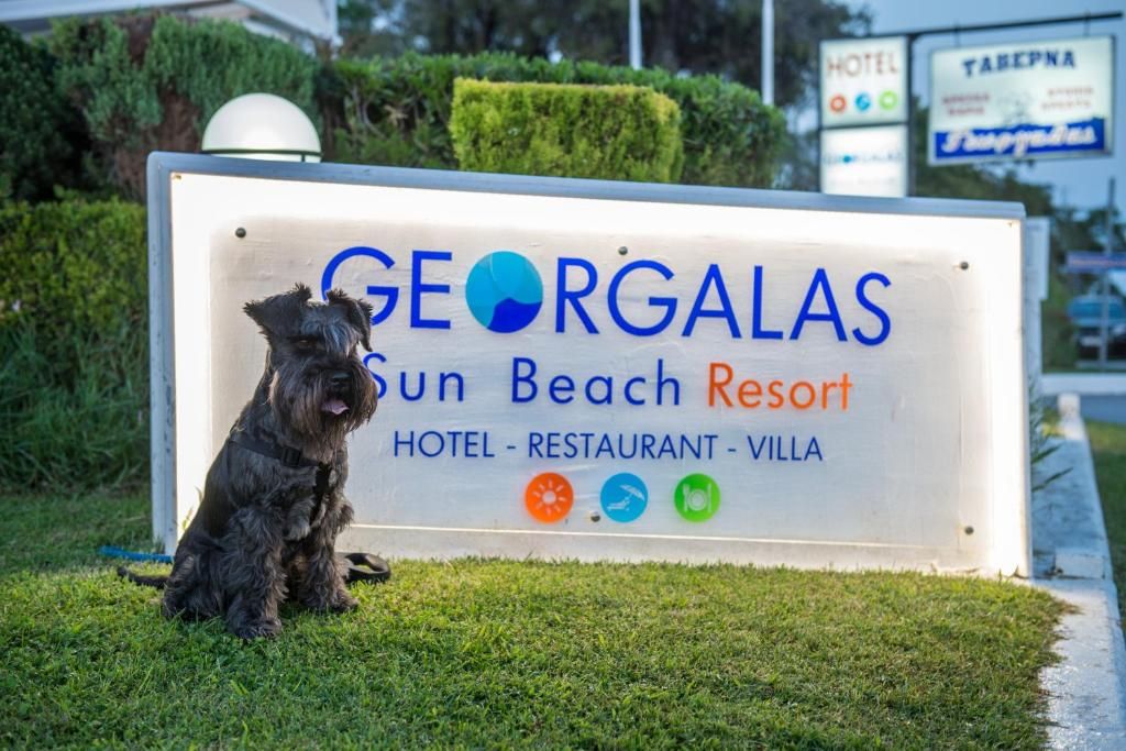 Georgalas Sun Beach Hotel фото 8