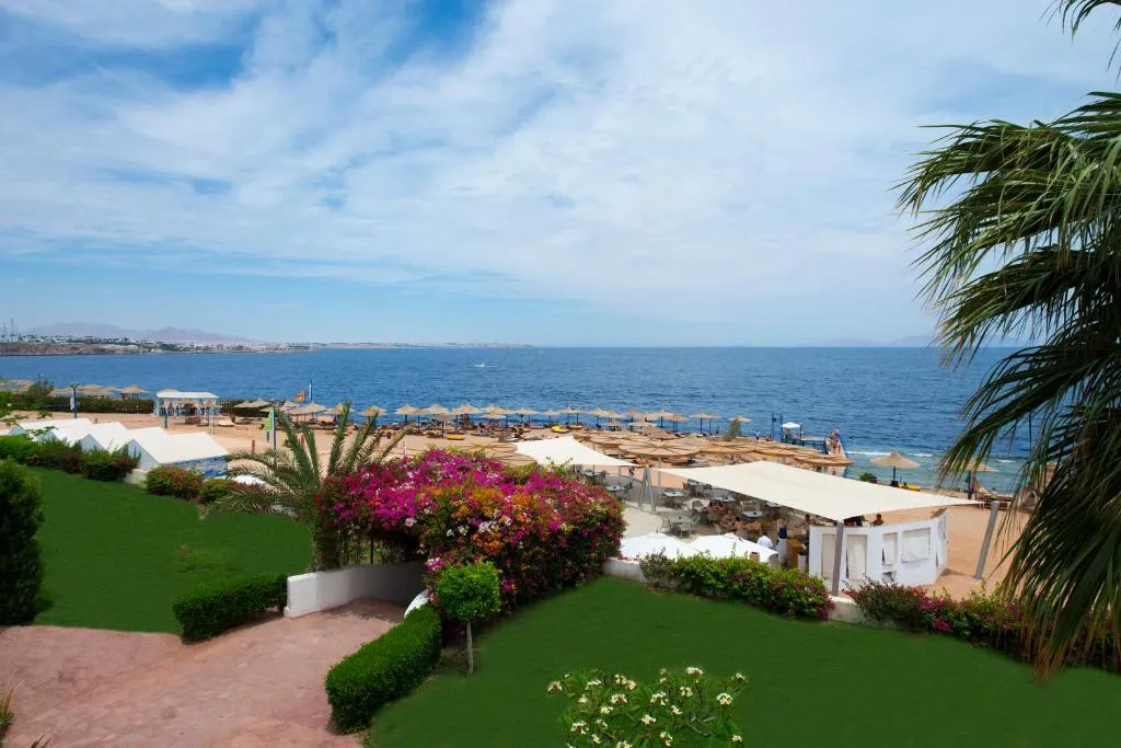Amphoras Blu Hotel (Adults Only) фото 21