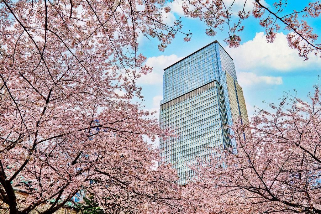 Mandarin Oriental Tokyo фото 8
