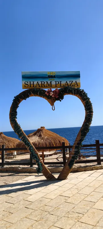 Sharm Resort Hotel фото 91