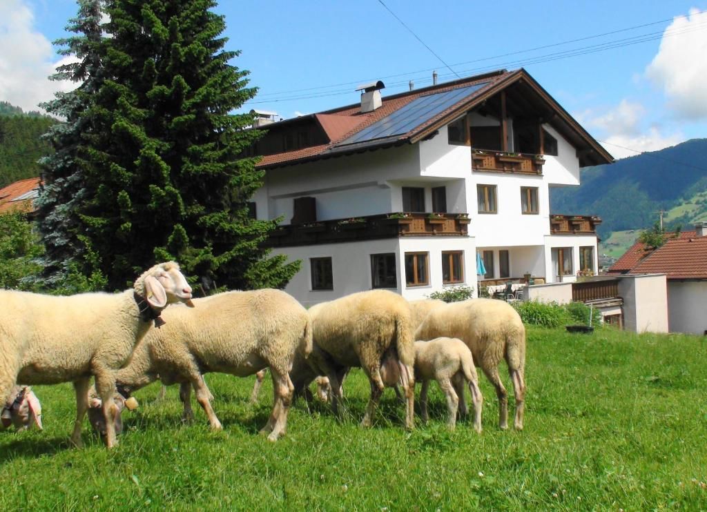 Gästehaus Treichl фото 8