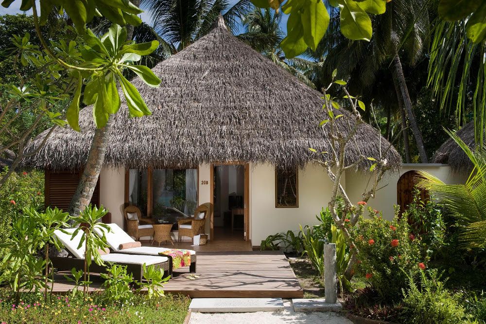 Niva Kuramathi Maldives фото 116