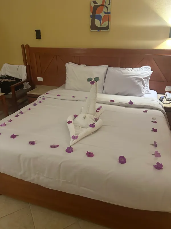 Romance Regency Club (Adults Only) фото 26