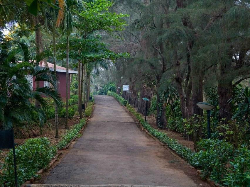 Varca Le Palms Beach Resort фото 0