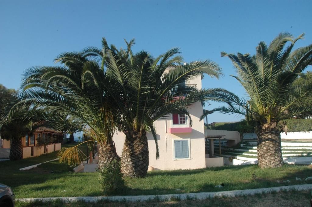 Koralli Beach фото 8