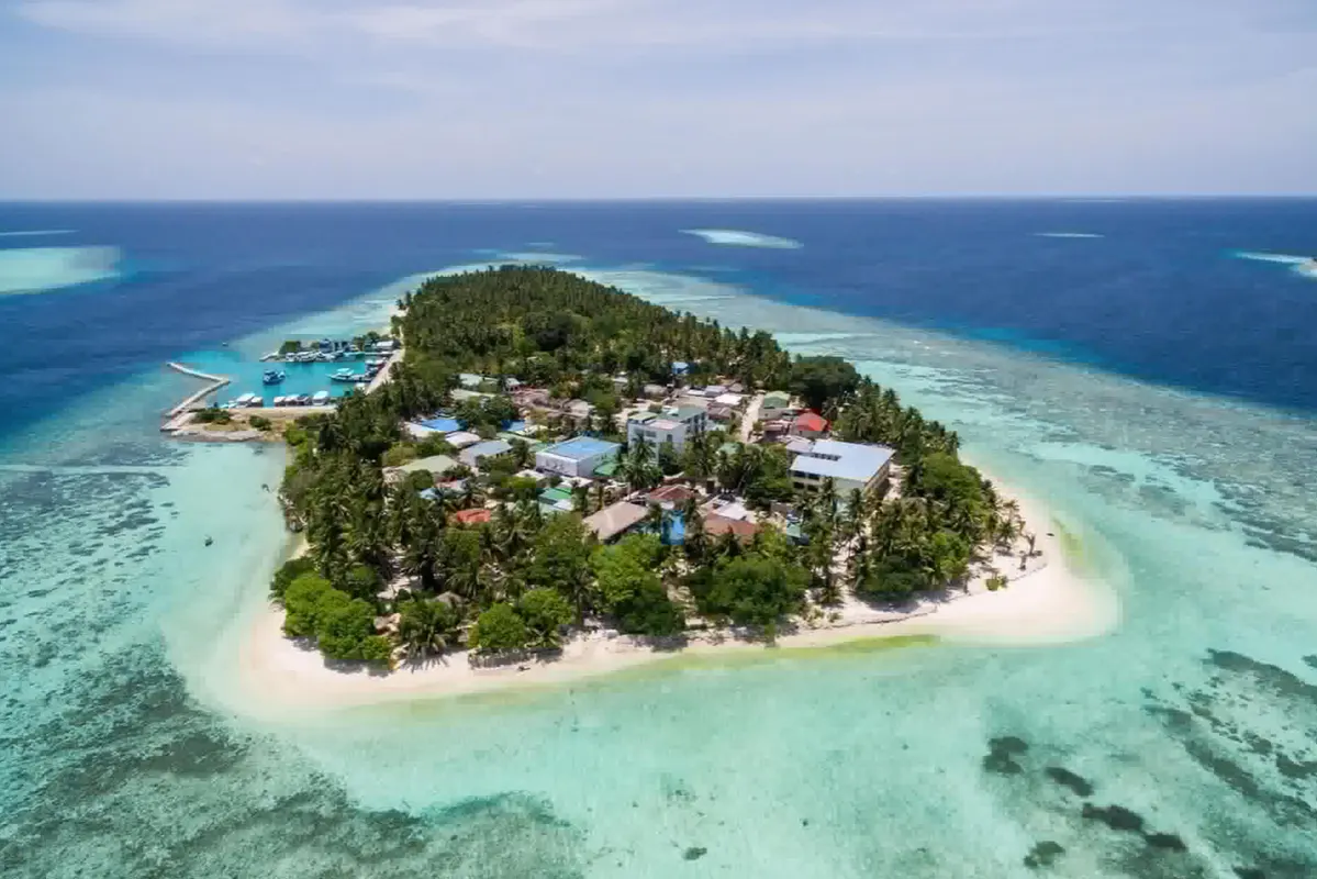 Guest House ««Plumeria Maldives» Guest House» фото 2