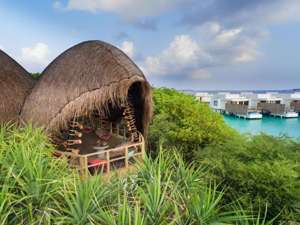 Niva Dhigali Maldives фото 72
