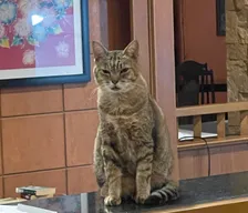 0