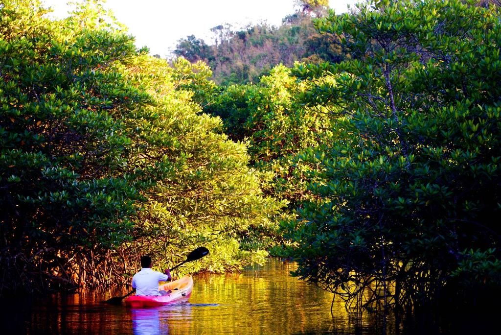Bacau Bay Resort Coron фото 24
