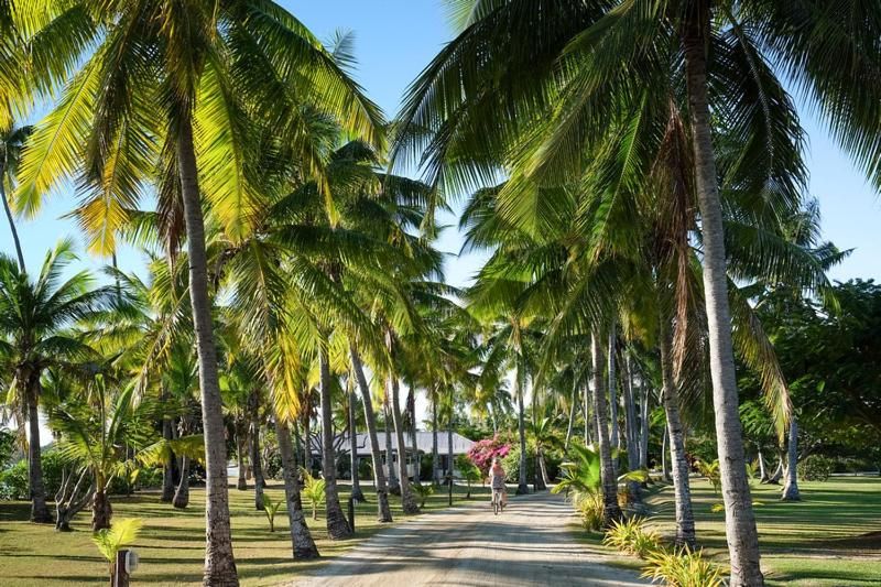 MUSKET COVE ISLAND RESORT & MARINA фото 51