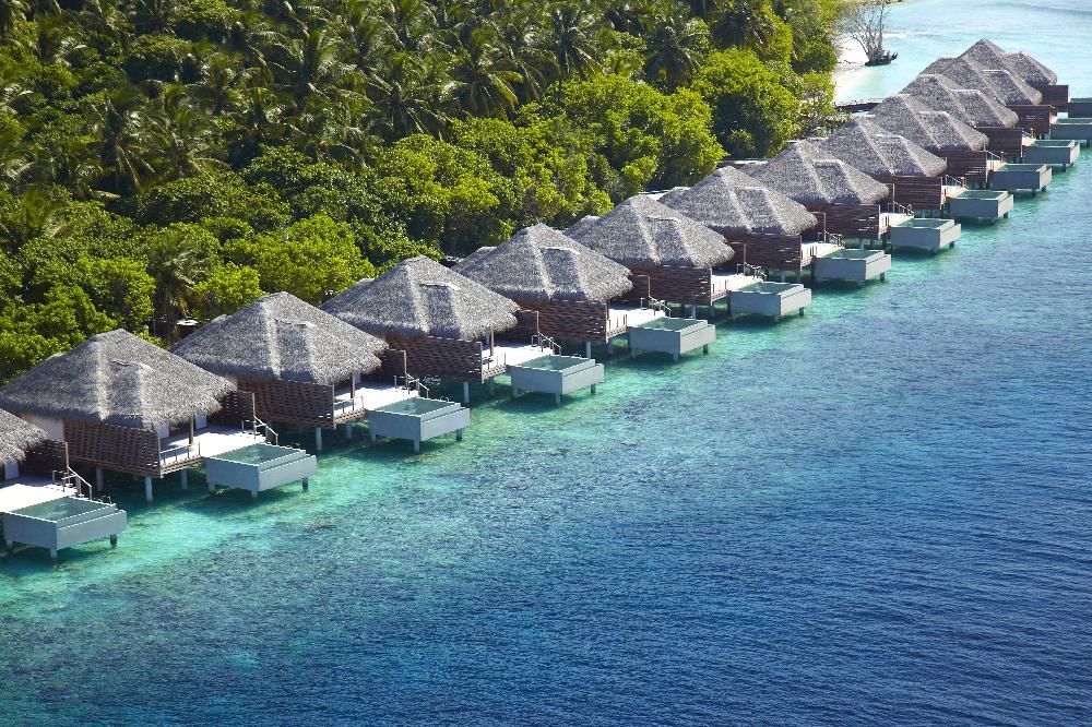 Dusit Thani Maldives фото 30