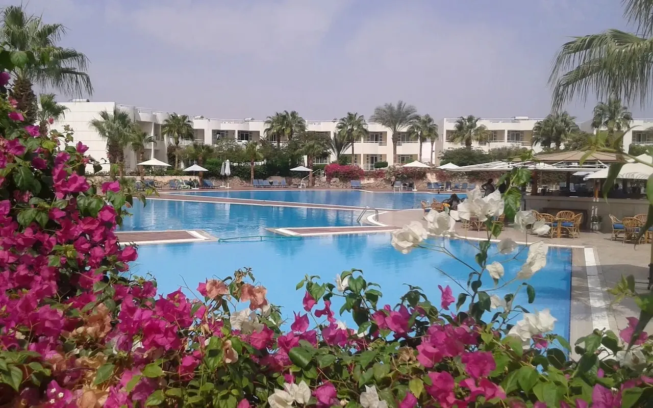 Sharm Reef Hotel фото 6