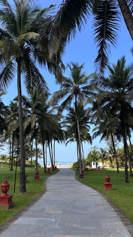 Radisson Blu Resort Goa Cavelossim Beach фото 39