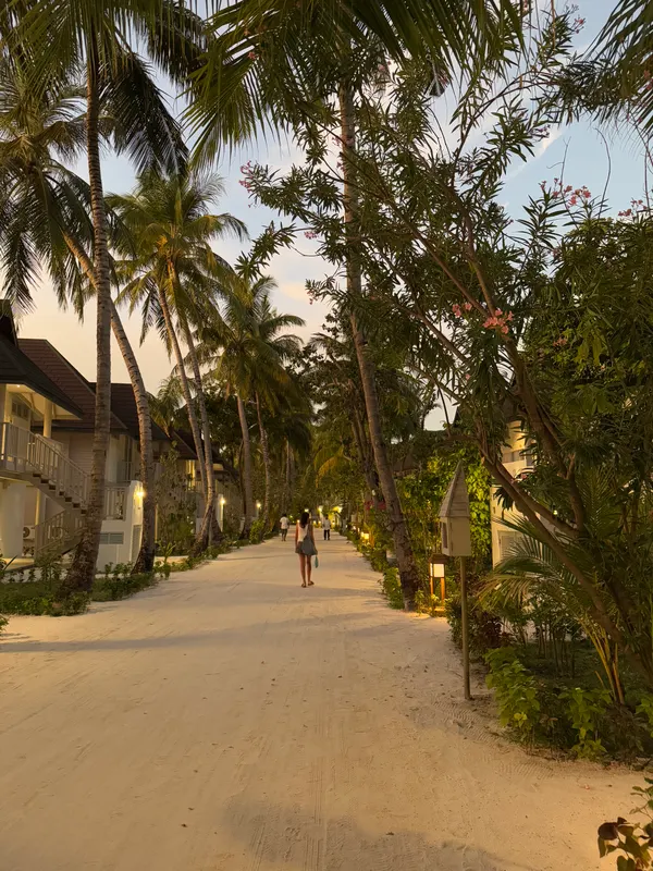 Sun Siyam Olhuveli фото 89