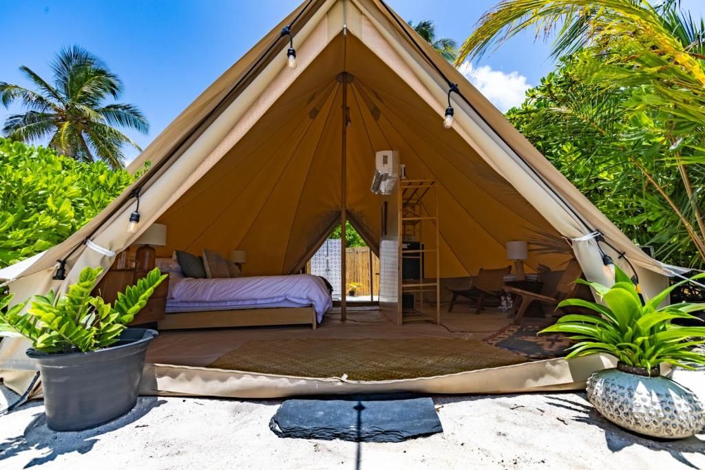 Guest House «The Maverick Surf & Dive Lodge Guest House» фото 2