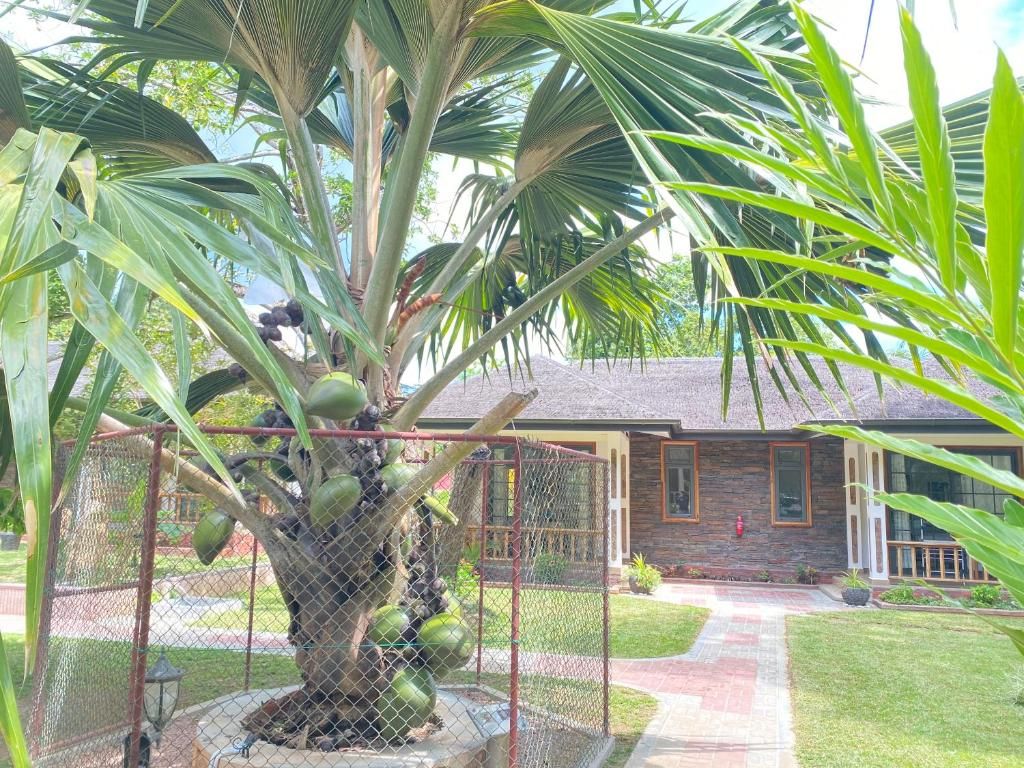 Calou Guest House фото 45