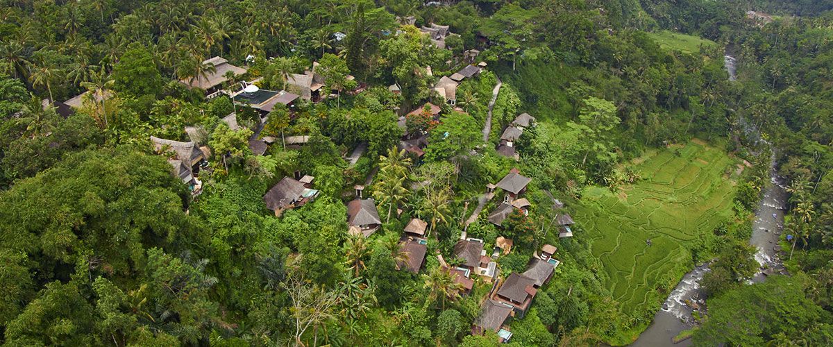 Kupu Kupu Barong Villas & Tree Spa by L'Occitane фото 22