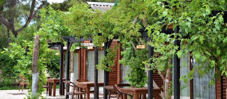 Фото отеля Koala Bungalows