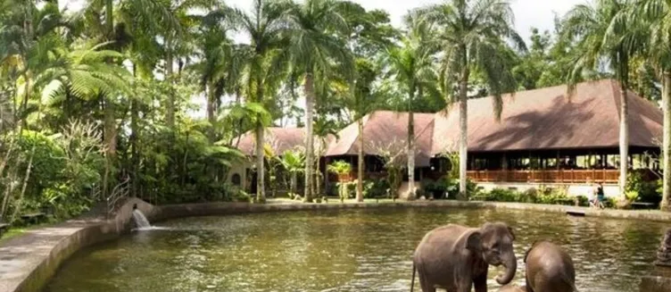 Фото отеля Mason Elephant Lodge