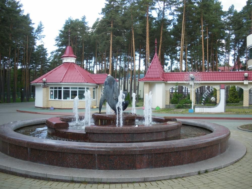 Санаторий «Ружанский» фото 59