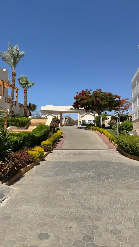 Pickalbatros Royal Grand Resort Sharm El Sheikh (Adults Only) фото 58