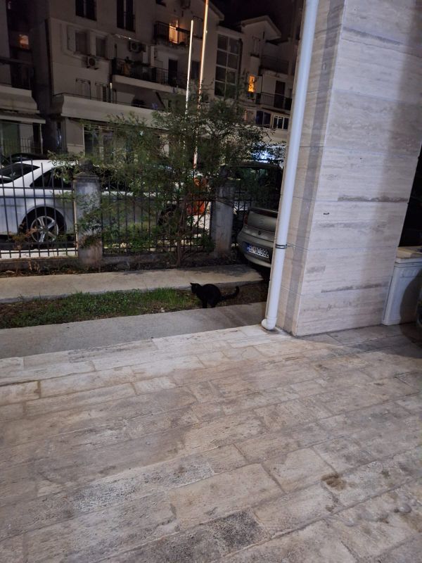 Kala Rooms & Suites фото 17