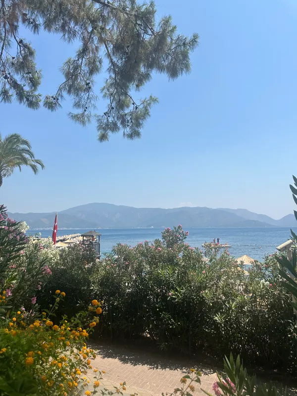 Grand Yazici Club Marmaris Palace фото 62