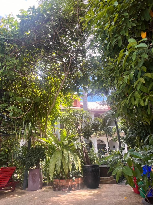 Tropica Bungalow Beach Hotel фото 18