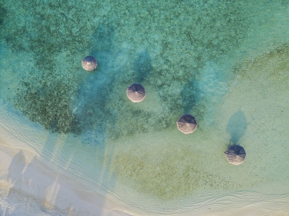 Centara Ras Fushi Resort & Spa Maldives (Adults Only) фото 81
