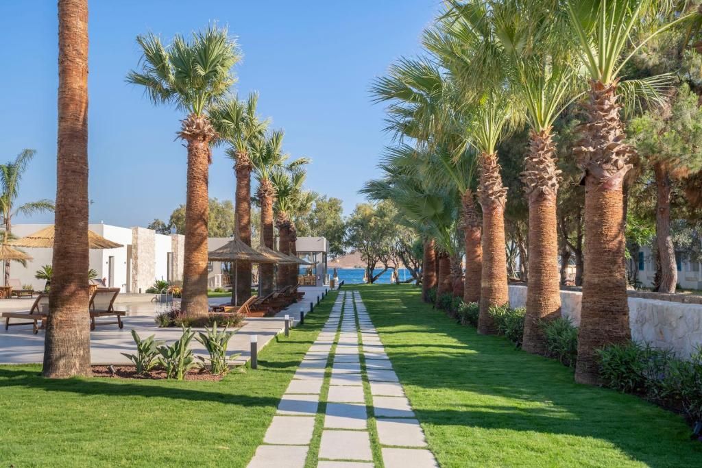 Regia Mare Beach Hotel Bodrum фото 34