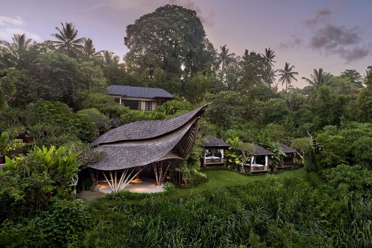 The Westin Resort & Spa Ubud фото 21