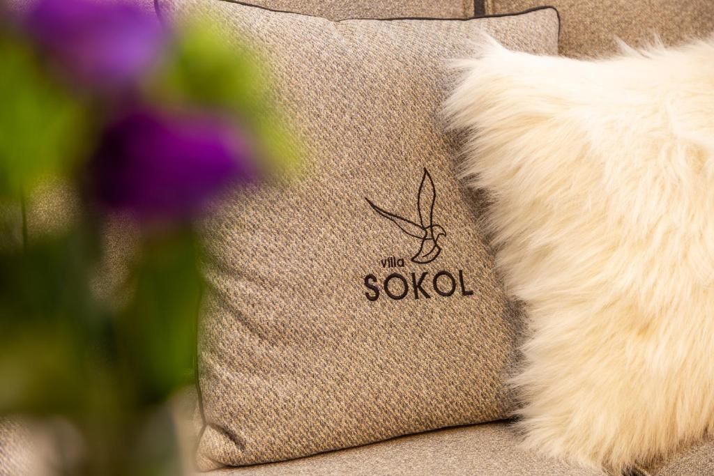 Hotel Sokol - Half Board фото 33