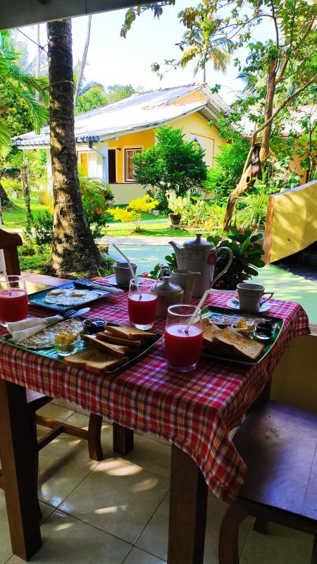 Guest House ««Tropicana» Guest House» фото 12