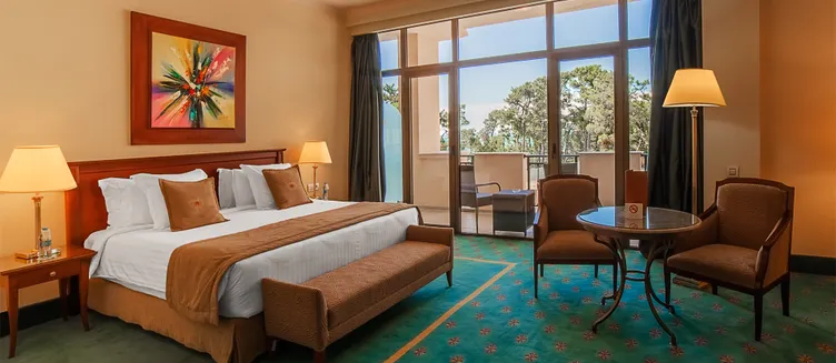 Фото отеля Georgia Palace Hotel & Spa Kobuleti