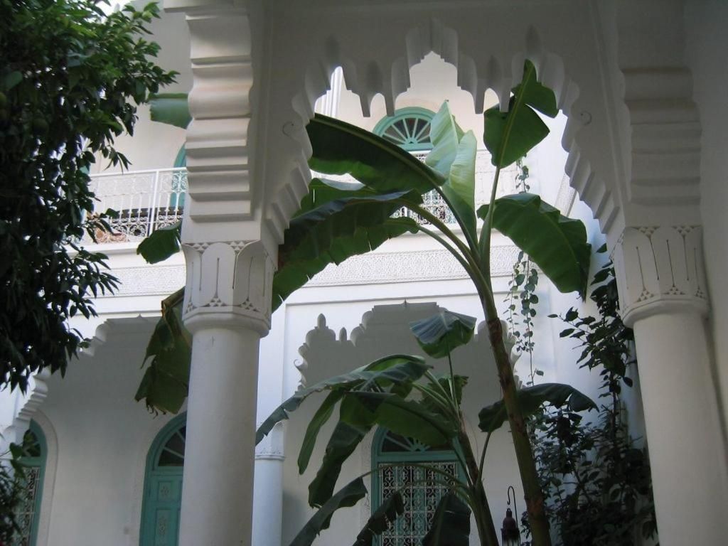 Riad Ifoulki фото 14