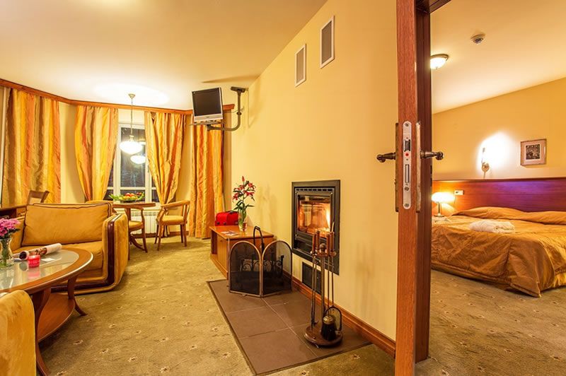 Hotel Sokol - Half Board фото 7