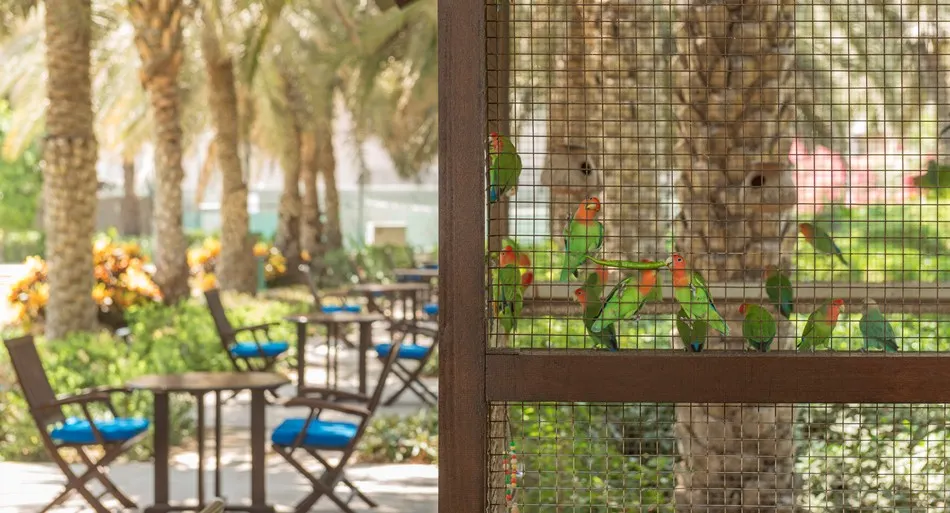 Coral Beach Resort Sharjah фото 18