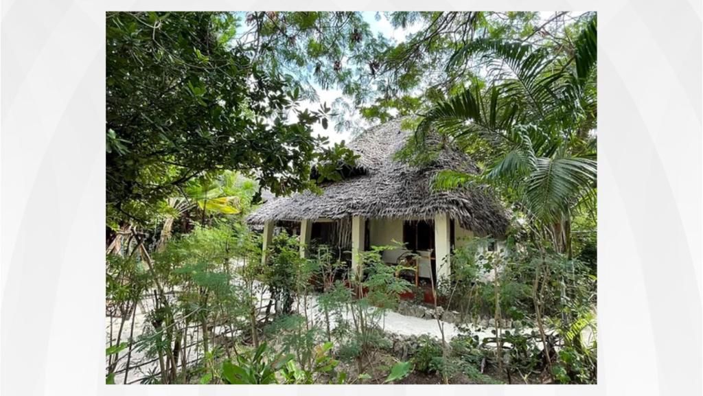 Guest House «Bellevue Guesthouse» фото 25
