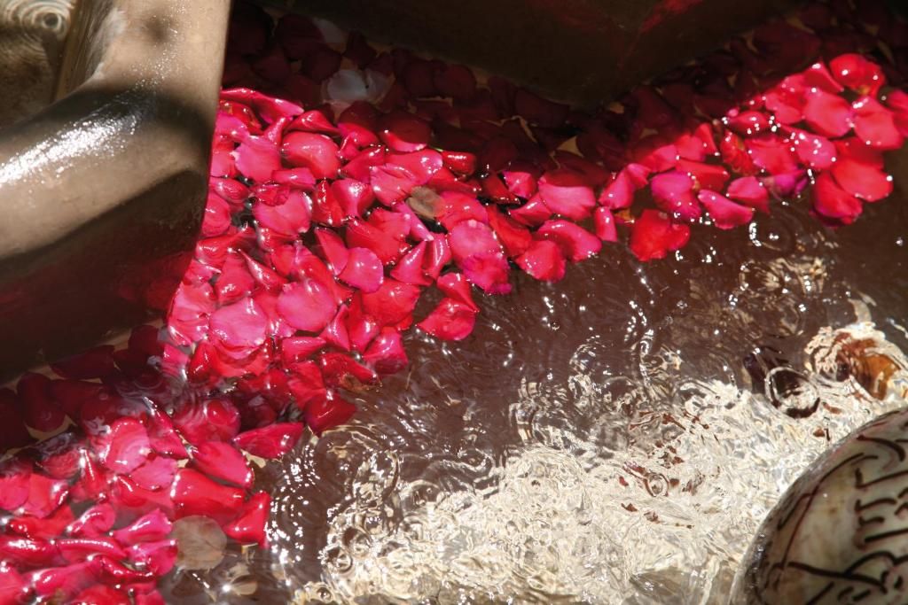 Riad Ifoulki фото 5
