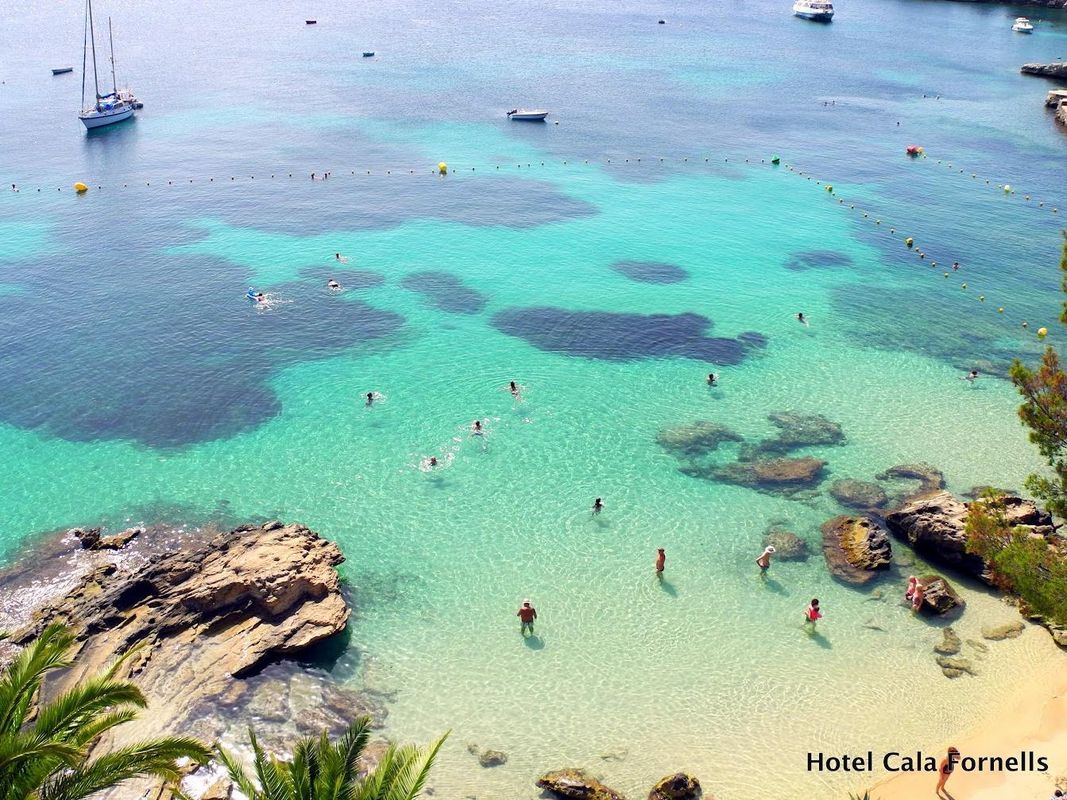 Cala Fornells фото 2