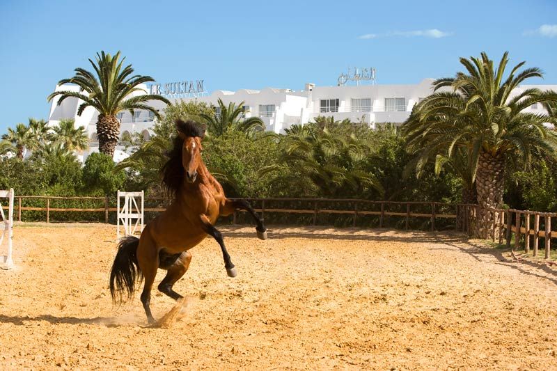 Sentido Le Sultan фото 14