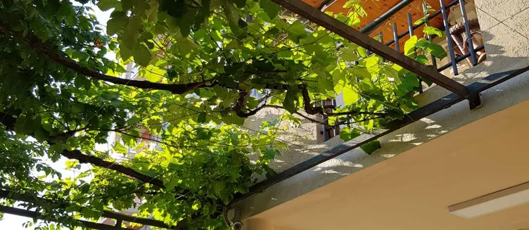 Фото отеля Guest House Zec