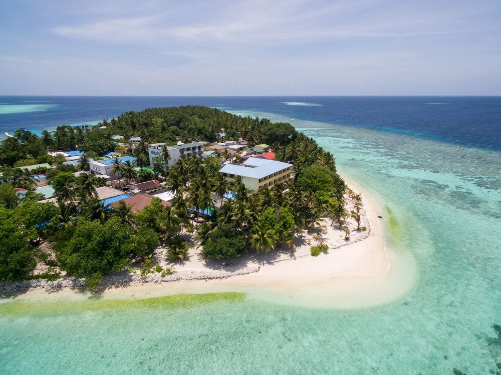 Guest House ««Plumeria Maldives» Guest House» фото 73