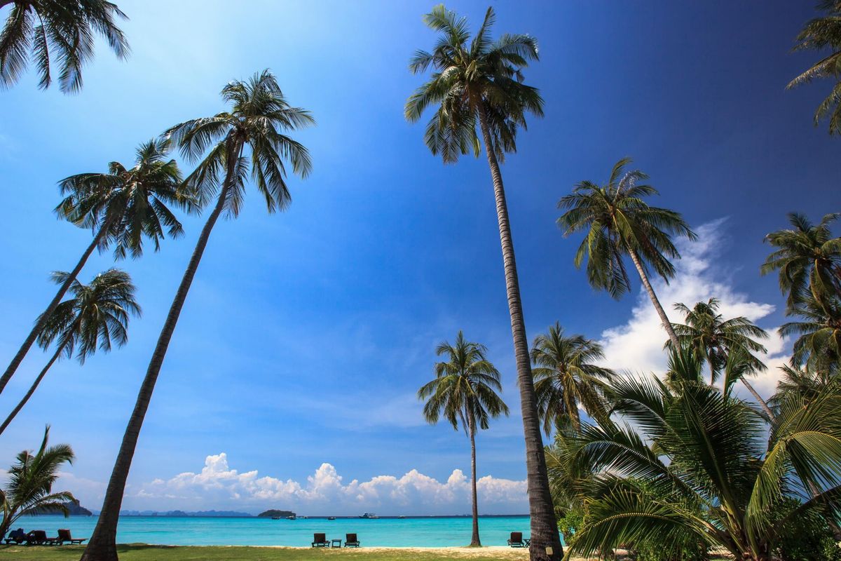 SAii Phi Phi Island Village-SHA Extra Plus фото 25
