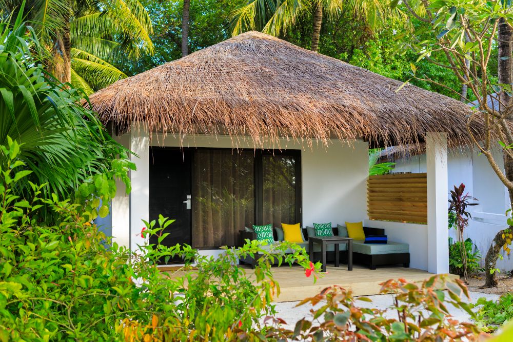 Niva Velassaru Maldives фото 79