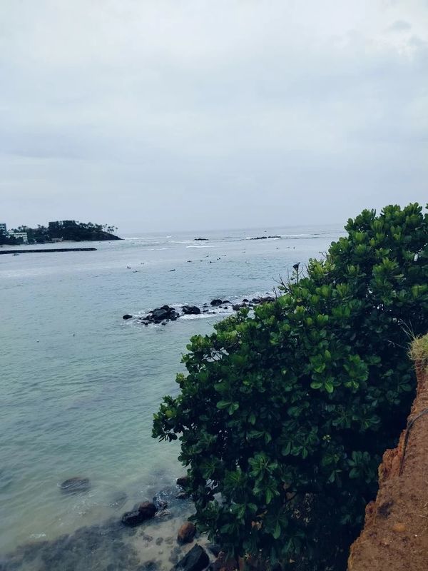 Guest House «Sea Breeze Guest House» фото 12